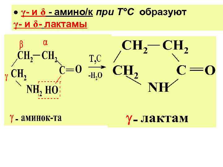 γ- и δ - амино/к при Т°С образуют γ- и δ- лактамы γ- и δ - амино/к при Т°С образуют γ- и δ- лактамы