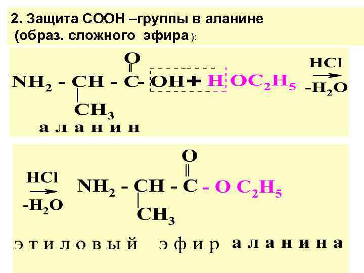 2. Защита СООН –группы в аланине (образ. сложного эфира ): 2. Защита СООН –группы в аланине (образ. сложного эфира ):