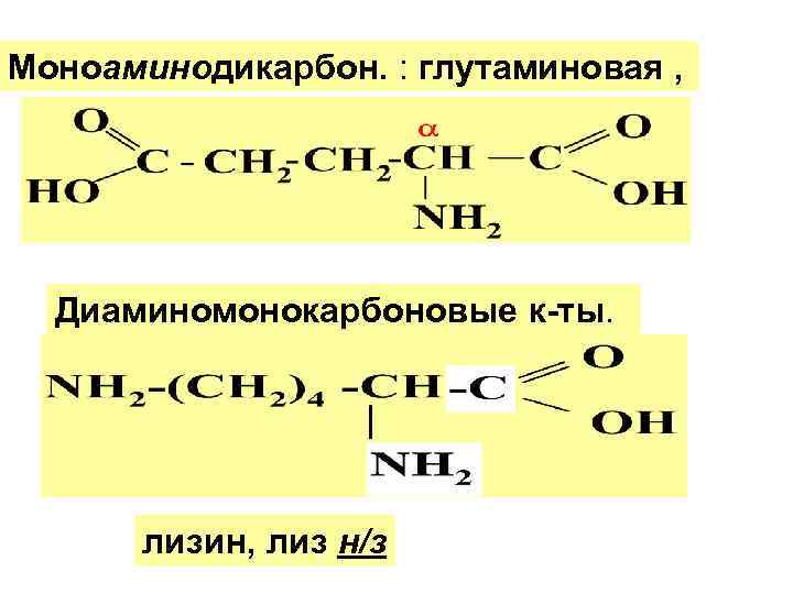 Моноаминодикарбон. : глутаминовая , Диаминомонокарбоновые к-ты. лизин, лиз н/з Моноаминодикарбон. : глутаминовая , Диаминомонокарбоновые к-ты. лизин, лиз н/з