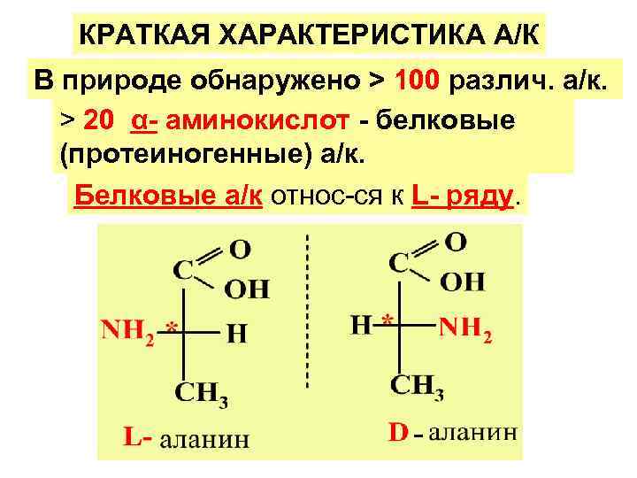 КРАТКАЯ ХАРАКТЕРИСТИКА А/К В природе обнаружено > 100 различ. а/к. > КРАТКАЯ ХАРАКТЕРИСТИКА А/К В природе обнаружено > 100 различ. а/к. >