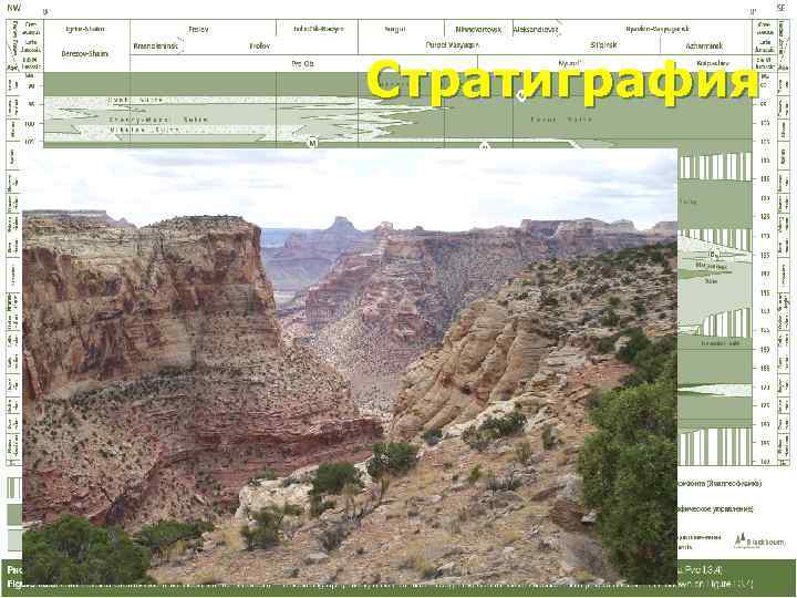 Стратиграфия 