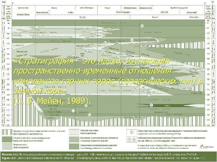  «Стратиграфия – это наука, изучающая пространственно-временные отношения комплексов горных пород (геологических тел) в