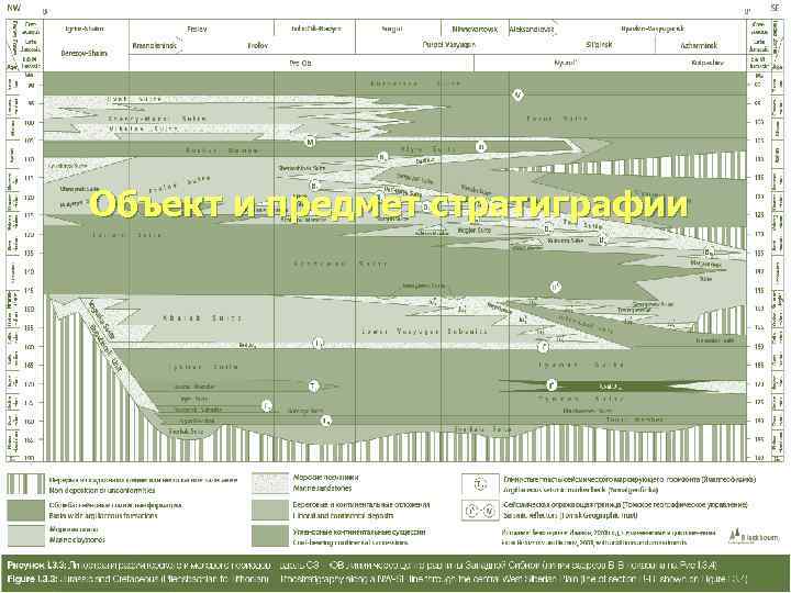 Объект и предмет стратиграфии 