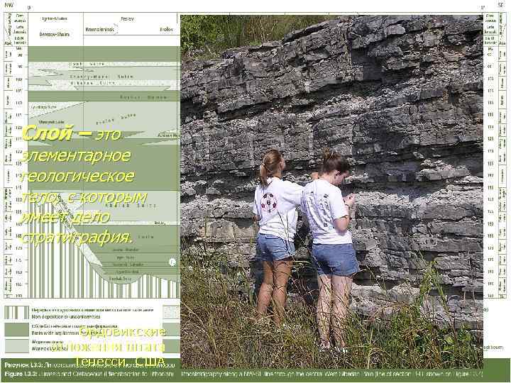 Слой – это элементарное геологическое тело, с которым имеет дело стратиграфия.   Ордовикские