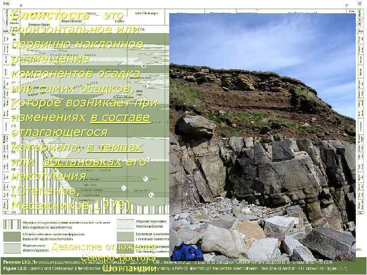 Слоистость - это горизонтальное или первично наклонное размещение компонентов осадка или самих осадков, которое