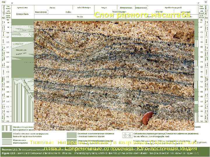     Слои разного масштаба Тяжелые минералы (темные) в кварцевых (светлых) песках