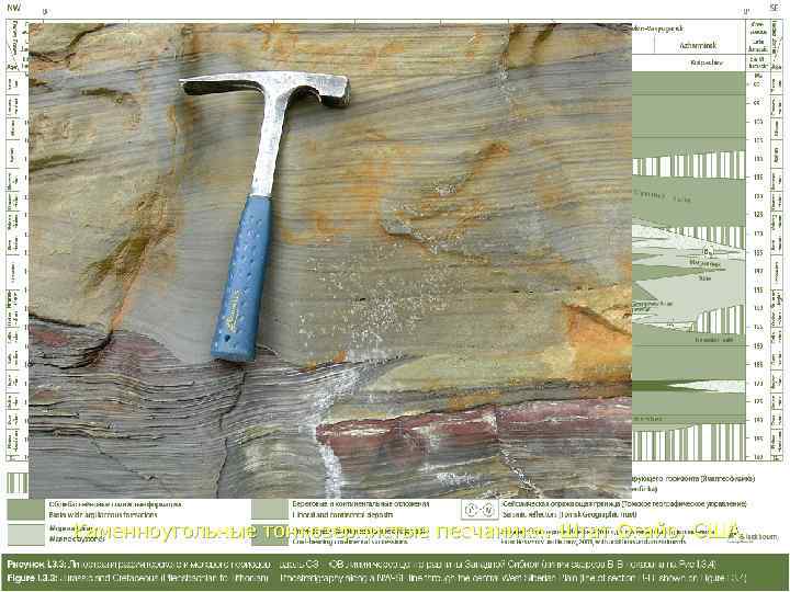 Каменноугольные тонкозернистые песчаники. Штат Огайо, США.  