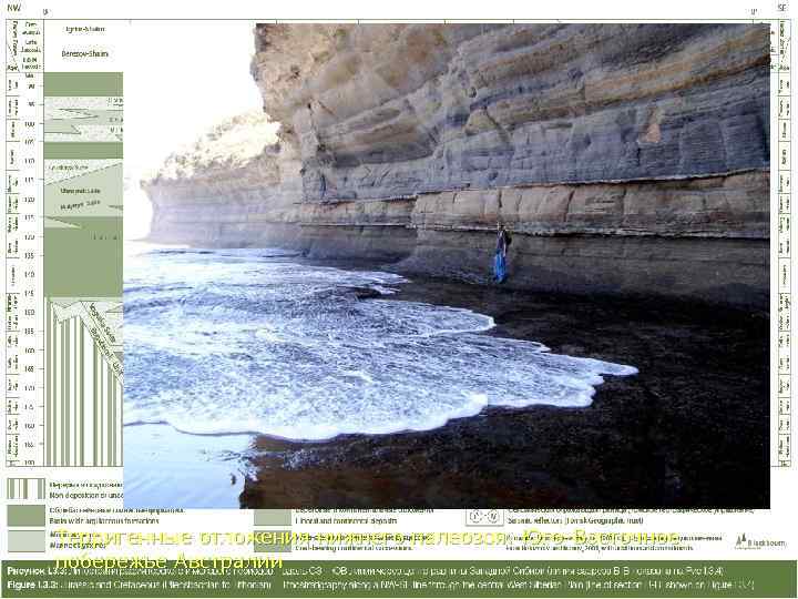 Терригенные отложения нижнего палеозоя. Юго-Восточное побережье Австралии 