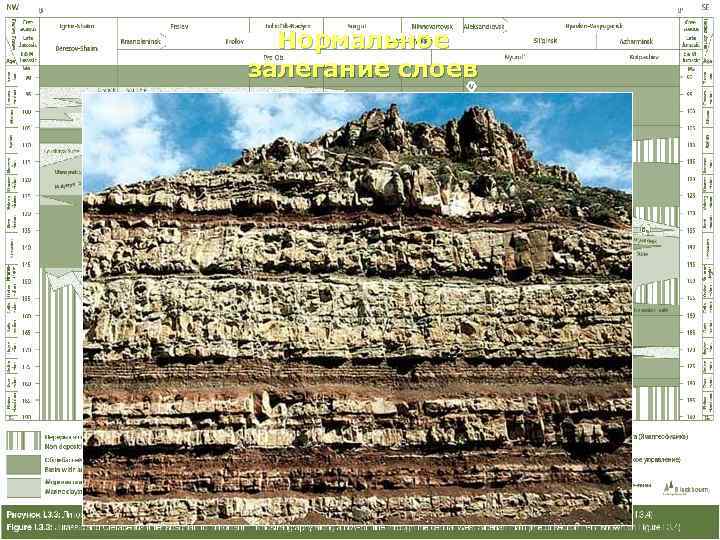  Нормальное залегание слоев 