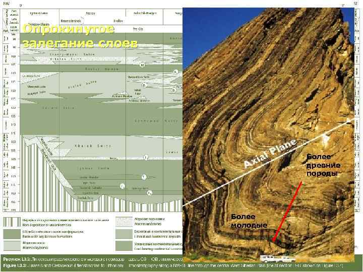 Опрокинутое залегание слоев       Более    
