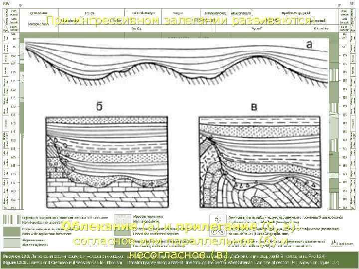 При ингрессивном залегании развиваются:  Облекание (а) и прилегание (б, в): согласное или параллельное
