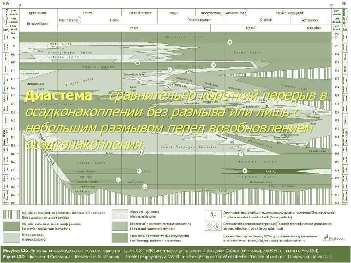 Диастема – сравнительно короткий перерыв в осадконакоплении без размыва или лишь с небольшим размывом