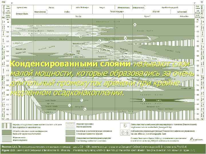 Конденсированными слоями называют слои малой мощности, которые образовались за очень длительный промежуток времени при