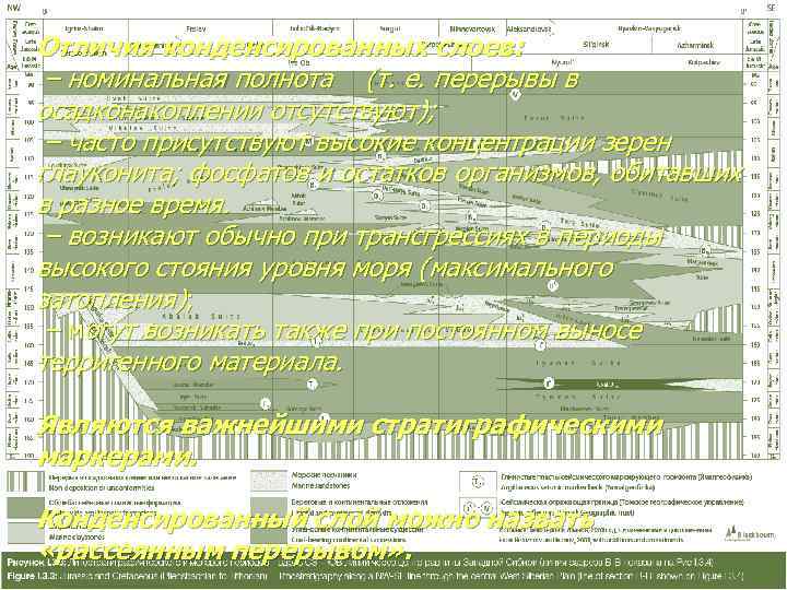 Отличия конденсированных слоев:  – номинальная полнота (т. е. перерывы в осадконакоплении отсутствуют); 