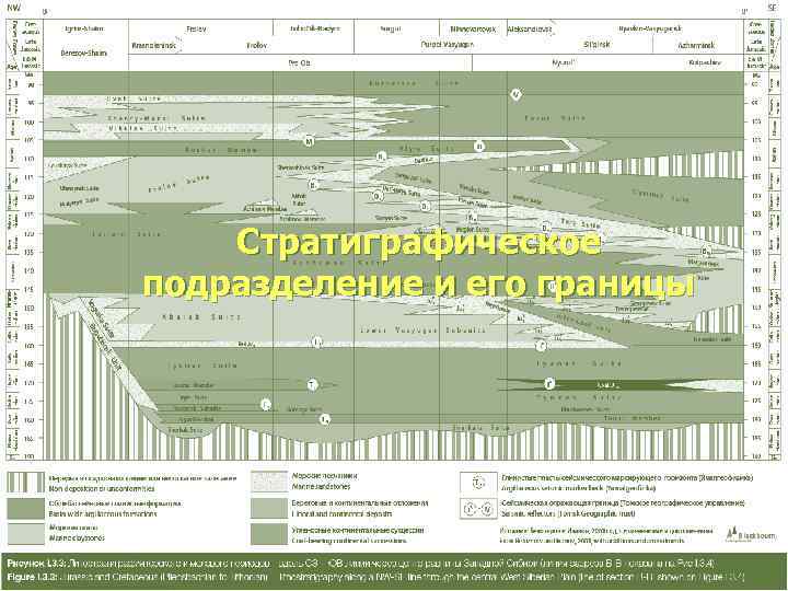   Стратиграфическое подразделение и его границы     границы 