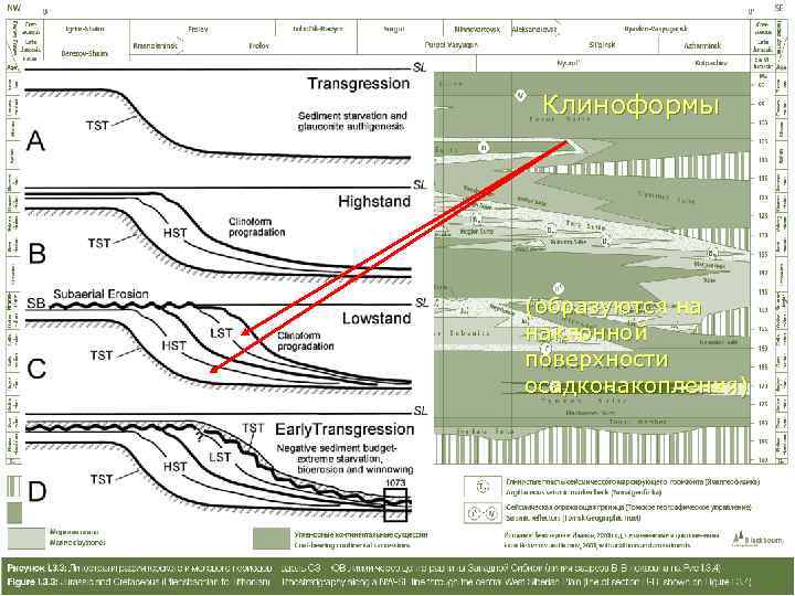    Клиноформы (образуются на наклонной поверхности осадконакопления) 
