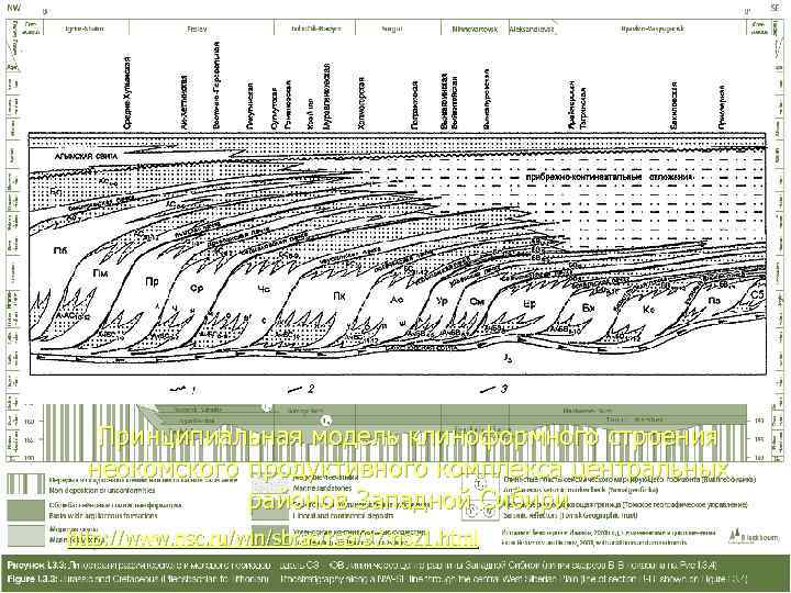   Принципиальная модель клиноформного строения  неокомского продуктивного комплекса центральных   
