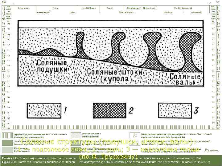 Соляные структуры (подушки, штоки, валы): 1 — подсолевое ложе; 2 — соль; 3 —