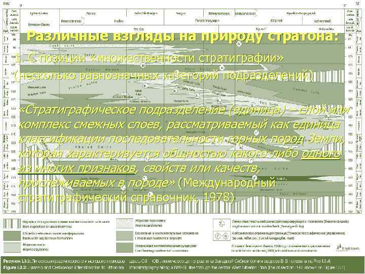  Различные взгляды на природу стратона:     1. С позиции «множественности