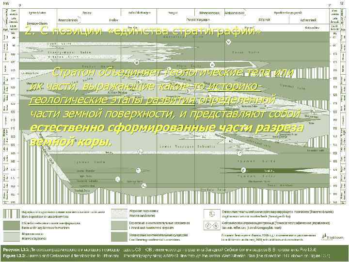 2. С позиции «единства стратиграфии»  Стратон объединяет геологические тела или их части, выражающие