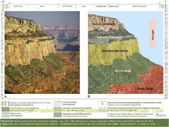 Литостратиграфические подразделения плато Колорадо. США      подразделения плато Колорадо. США