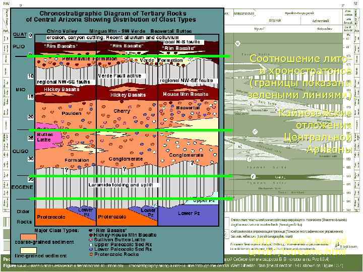 Соотношение лито-  и хроностратонов (границы показаны зелеными линиями).  Кайнозойские  отложения 