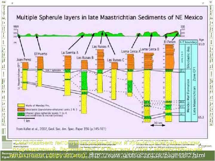  Соотношение литостратиграфических и хроностратиграфических  подразделений. Верхний мел СВ Мексики (слои с множественными