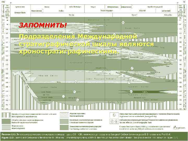 ЗАПОМНИТЬ! Подразделения Международной стратиграфической шкалы являются хроностратиграфическими. 