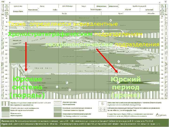 Также определяются эквивалентные Хроностратиграфическим подразделениям     геохронологические подразделения Юрская  