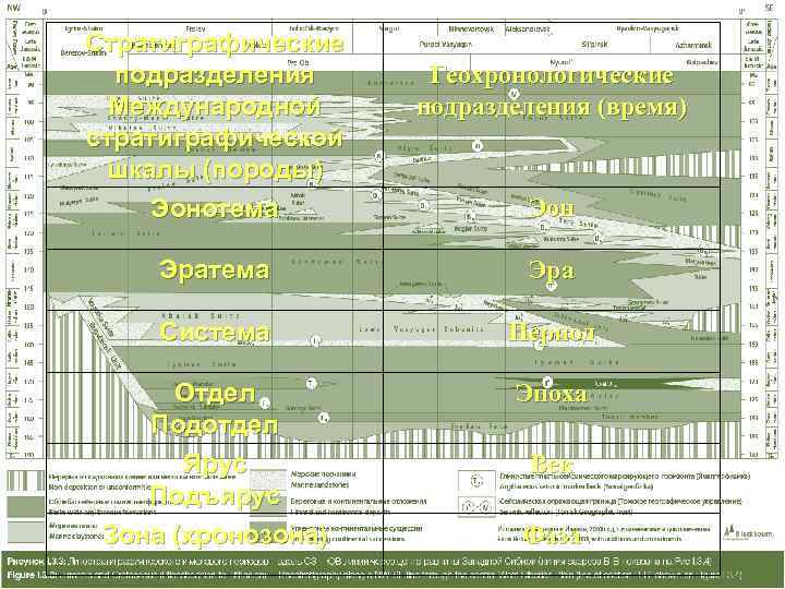 Стратиграфические  подразделения Геохронологические  Международной подразделения (время) стратиграфической шкалы (породы) Эонотема  