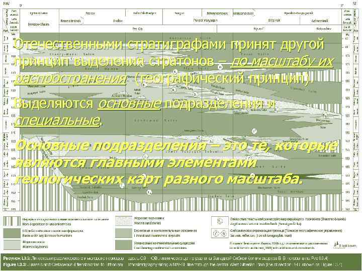 Отечественными стратиграфами принят другой принцип выделения стратонов – по масштабу их распространения (географический принцип).