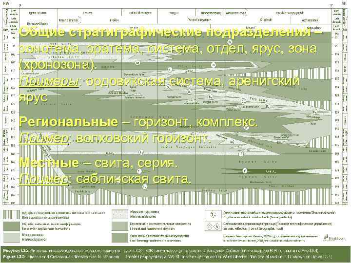 Общие стратиграфические подразделения – эонотема, эратема, система, отдел, ярус, зона (хронозона). Примеры: ордовикская система,