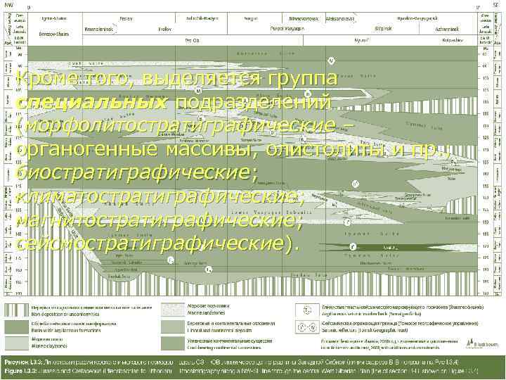 Кроме того, выделяется группа  специальных подразделений (морфолитостратиграфические – органогенные массивы, олистолиты и пр.