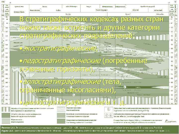 В стратиграфических кодексах разных стран можно также встретить и другие категории стратиграфических подразделений: 
