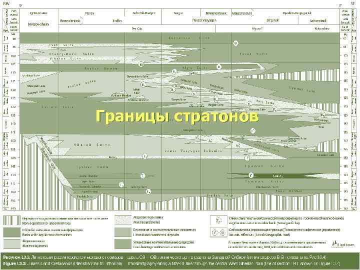Границы стратонов 