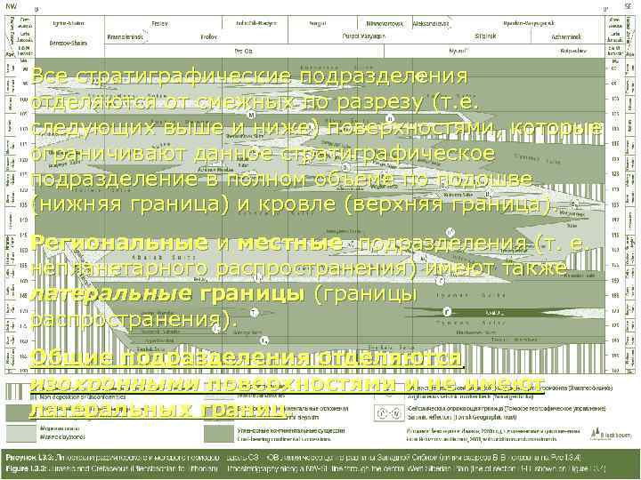 Все стратиграфические подразделения отделяются от смежных по разрезу (т. е.  следующих выше и