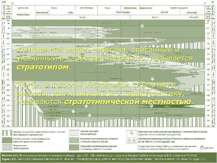 Конкретный разрез стратона, описанный и указанный в качестве эталонного, называется стратотипом.  Район, в