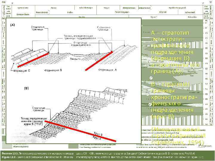 А – стратотип литострати- графического подразделения (формация В) и стратотипы его границ (А); 