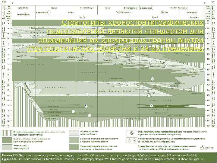   Стратотипы хроностратиграфических  подразделений являются стандартом для определения их изохронных границ внутри