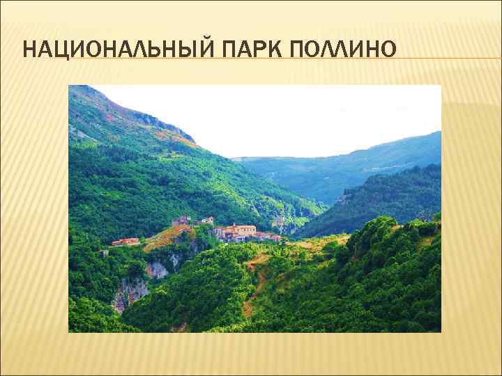 НАЦИОНАЛЬНЫЙ ПАРК ПОЛЛИНО НАЦИОНАЛЬНЫЙ ПАРК ПОЛЛИНО
