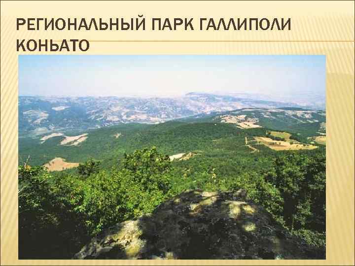 РЕГИОНАЛЬНЫЙ ПАРК ГАЛЛИПОЛИ КОНЬАТО РЕГИОНАЛЬНЫЙ ПАРК ГАЛЛИПОЛИ КОНЬАТО