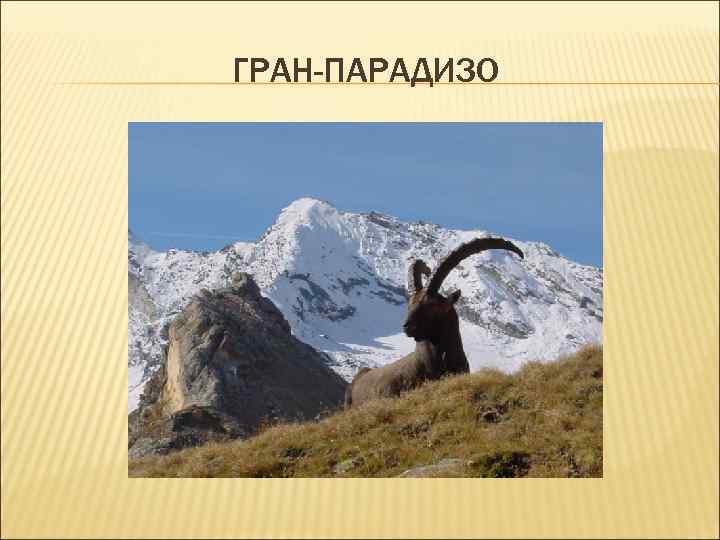 ГРАН-ПАРАДИЗО ГРАН-ПАРАДИЗО