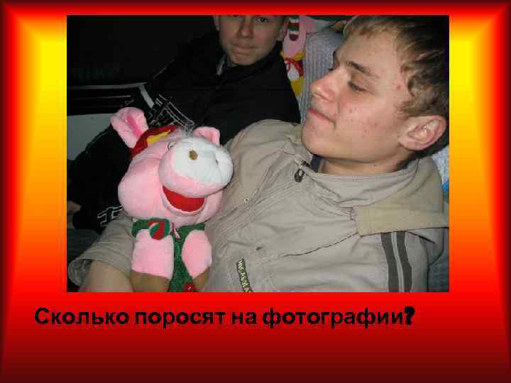 Сколько поросят на фотографии? 