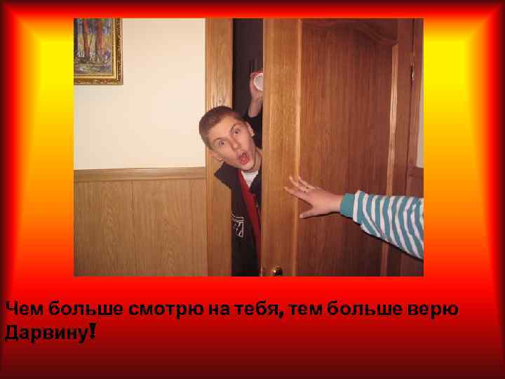 Чем больше смотрю на тебя, тем больше верю Дарвину! 