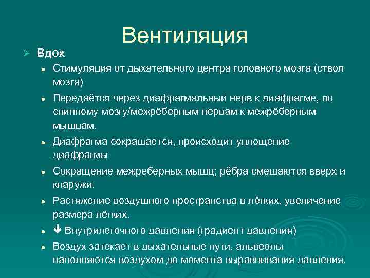      Вентиляция Ø  Вдох l  Стимуляция от дыхательного