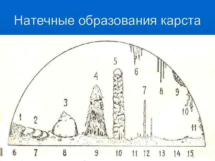 Натечные образования карста 