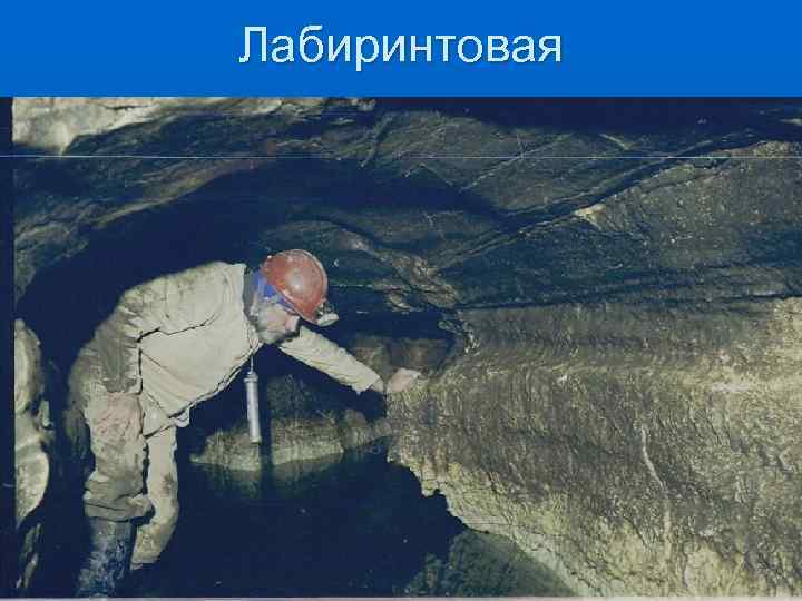 Лабиринтовая 