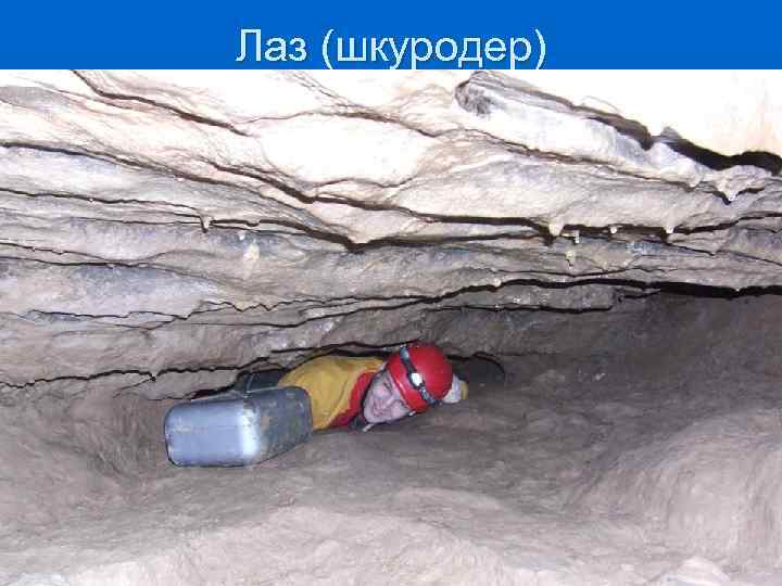 Лаз (шкуродер) 