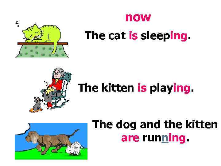   now The cat is sleeping. The kitten is playing. The dog and