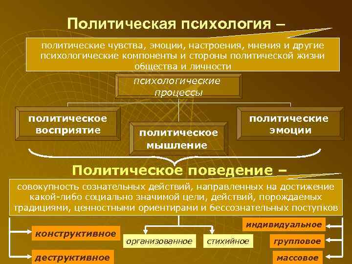    Политическая психология – политические чувства, эмоции, настроения, мнения и другие психологические